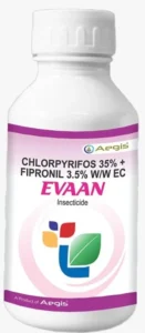 Evaan Packshot