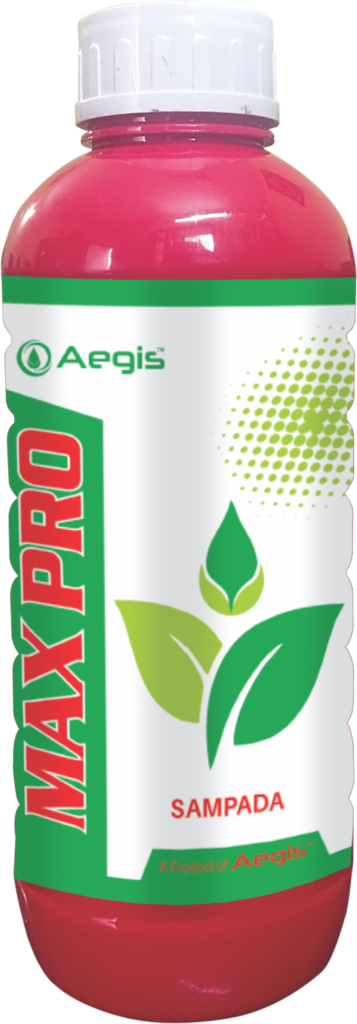 MAX_PRO_Packshot