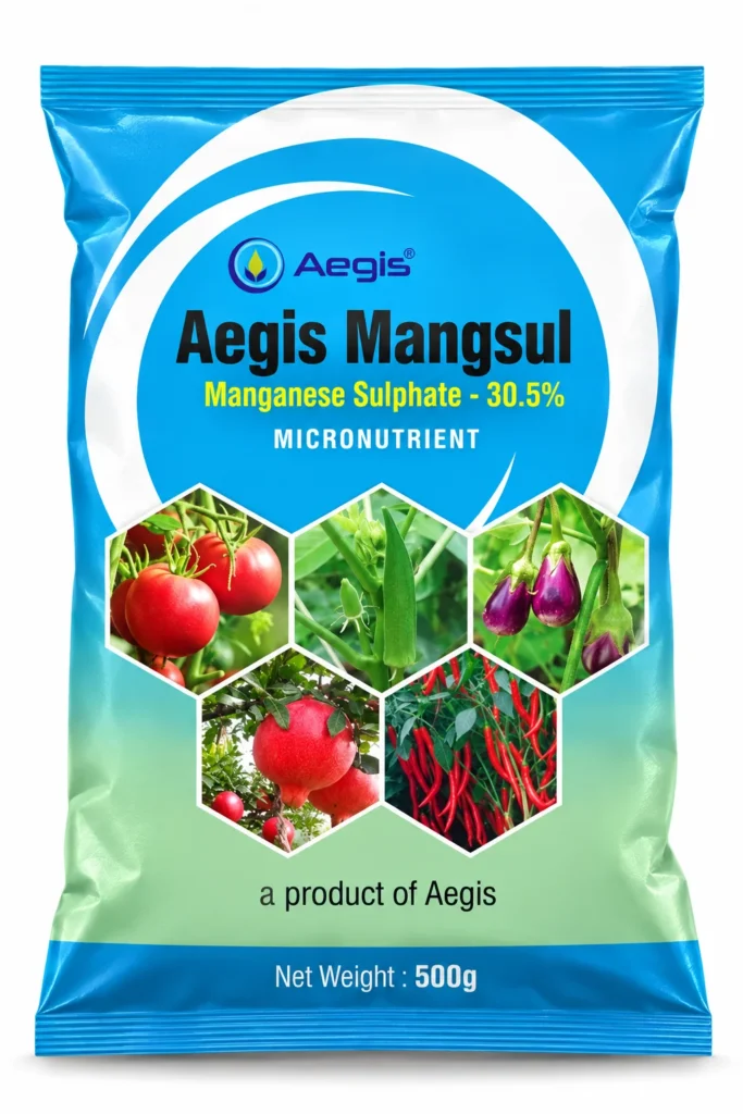 Mangsul_Packshot